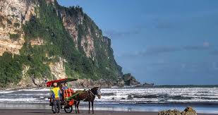 Hasil gambar untuk parangtritis